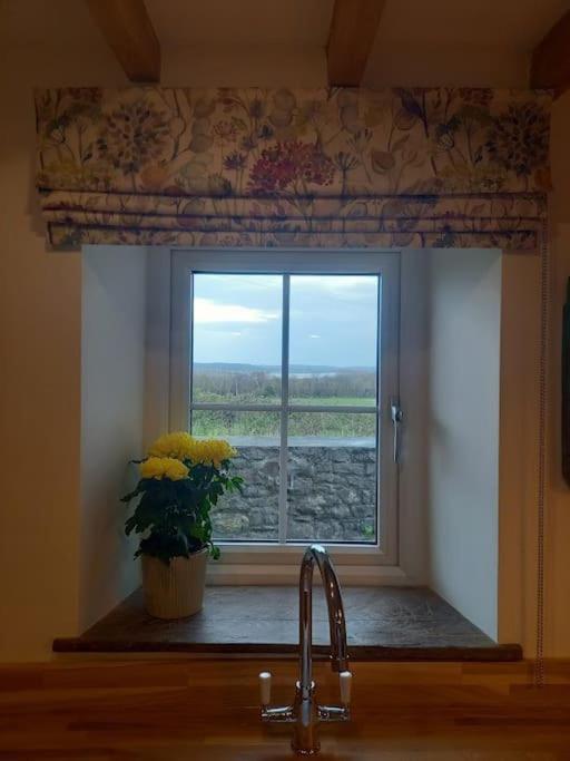Cosy 2 Bed Cottage Between Snowdonia And The SeaLlandegai エクステリア 写真